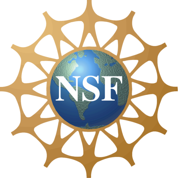 NSF Grant Awarded for Data Science Project